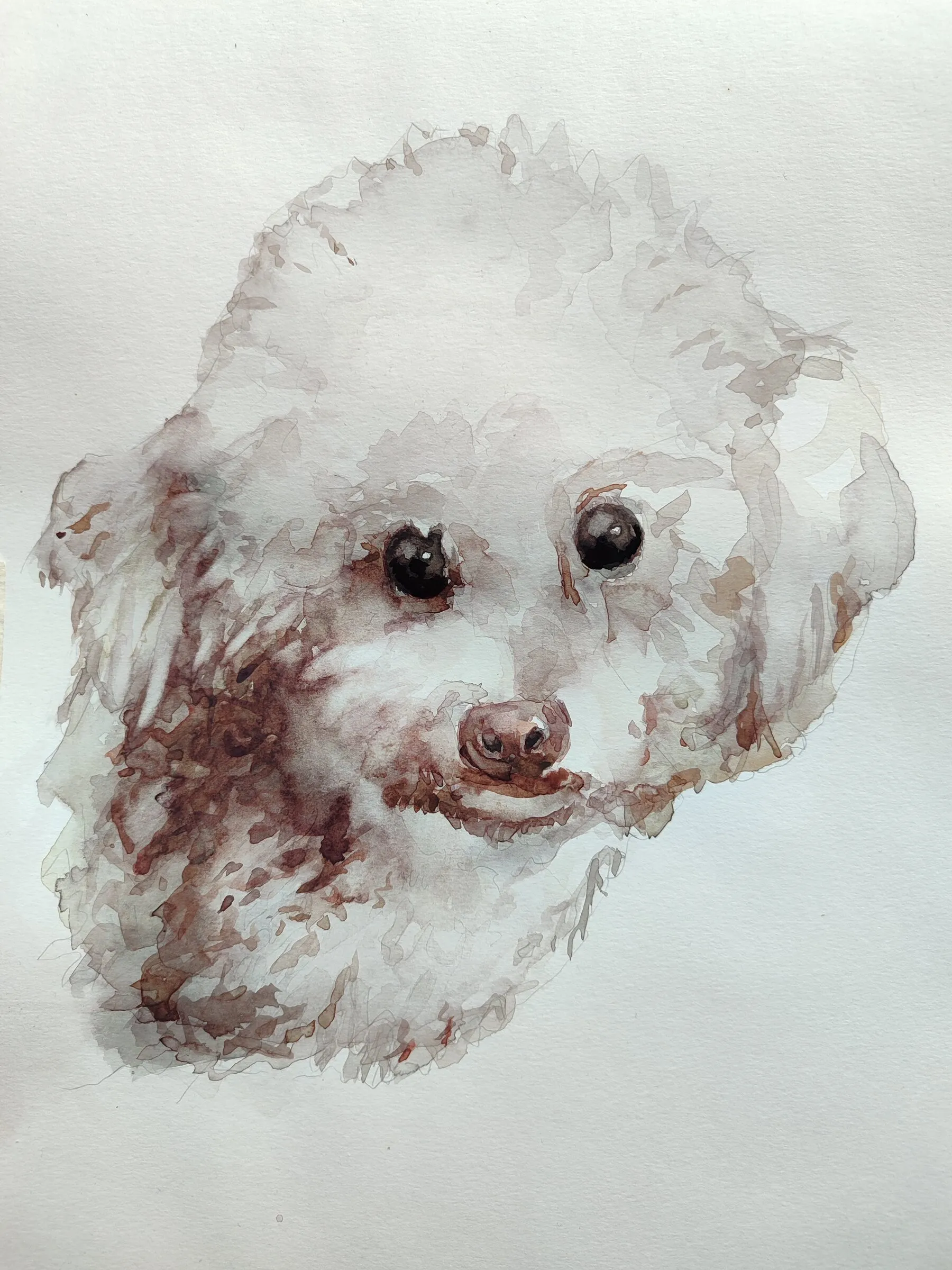 Retrato personalizado de Lucky pintado en acuarela
