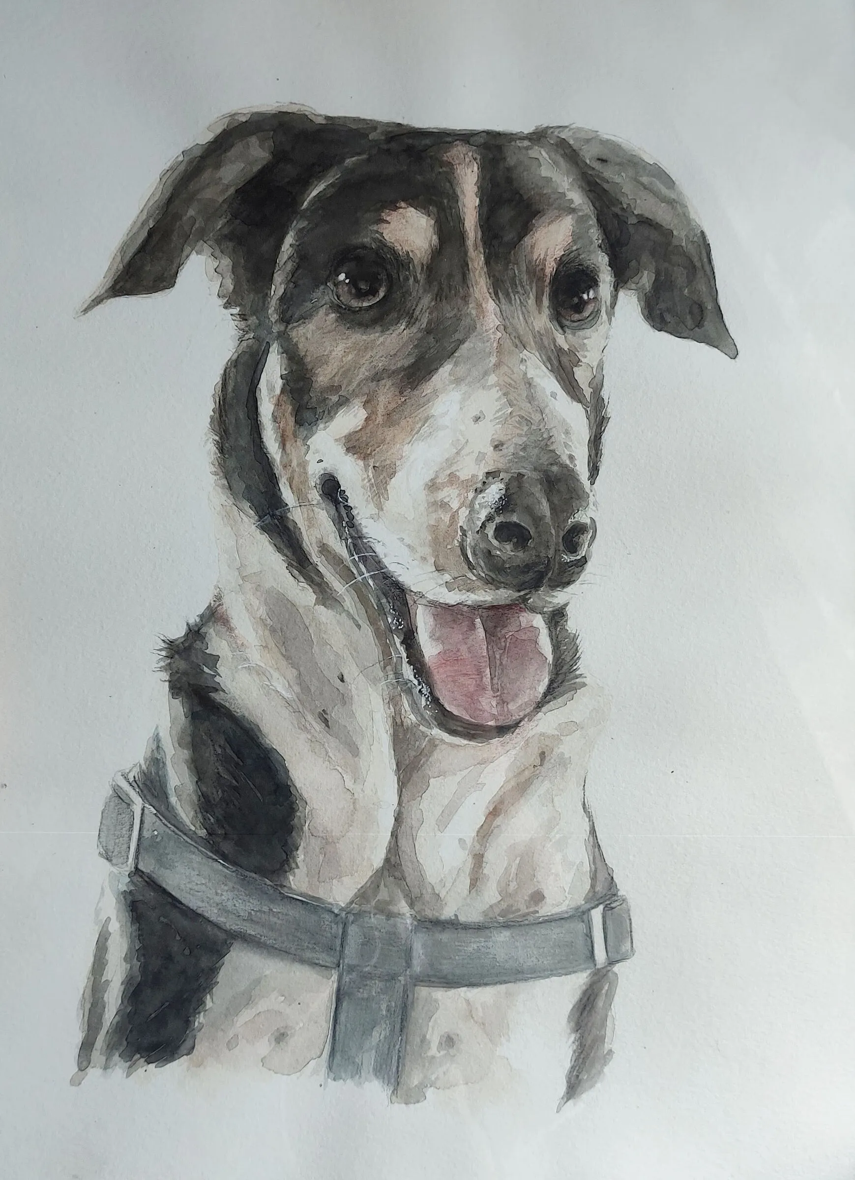Retrato personalizado de Zeus pintado en acuarela